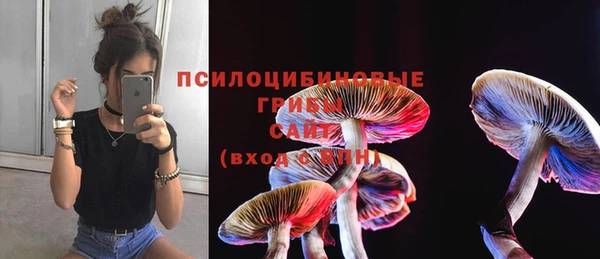 тгк Баксан