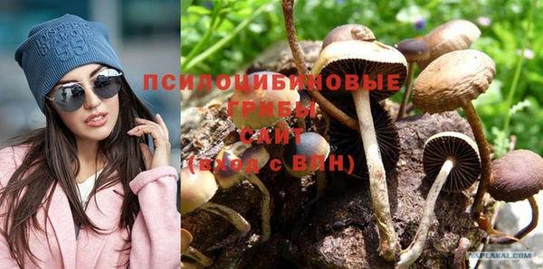 тгк Баксан
